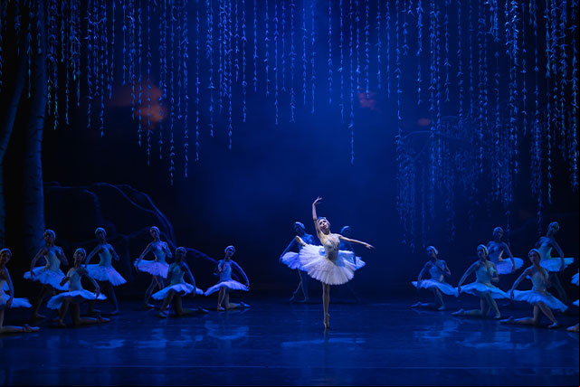 O lago dos cisnes, produção da São Companhia de Dança (divulgação, Marcelo Machado)