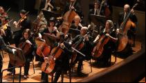 Músicos da Orquestra Sinfônica do Theatro Municipal do Rio de Janeiro [Divulgação/Daniel Ebendinger]